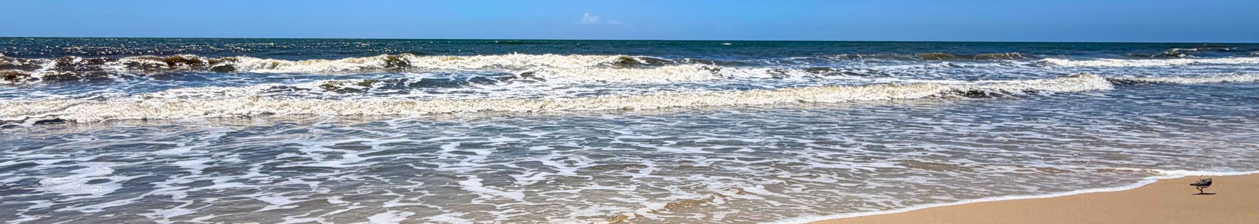 Cape San Blas, Florida Beach
