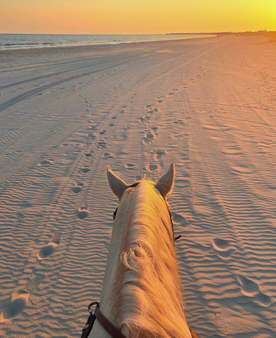 Riding Horse on Cape San Blas Beach